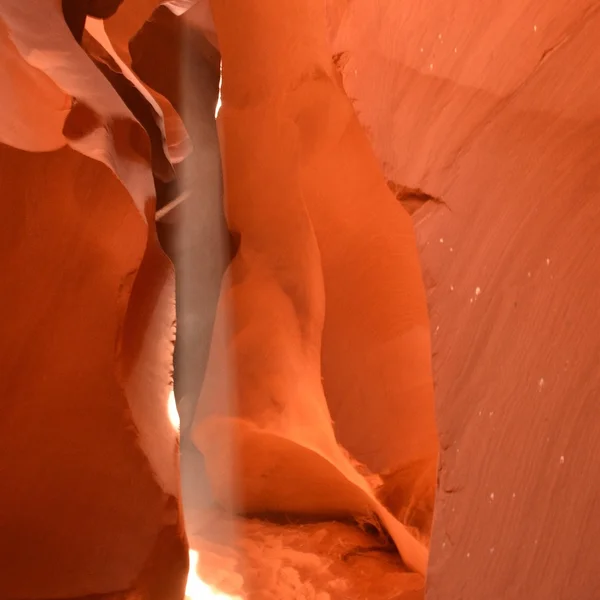 赌博应用老虎机